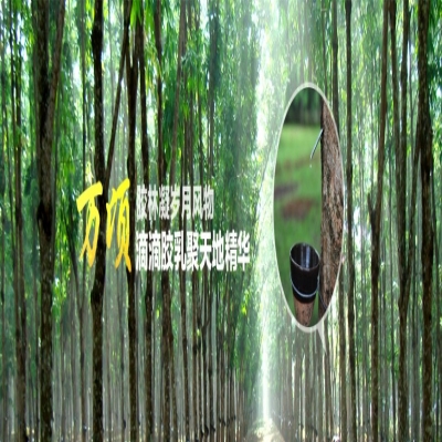 RFID橡膠樹防護防盜管理系統(tǒng)