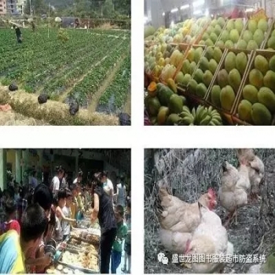 RFID食品安全防偽溯源管理解決方案